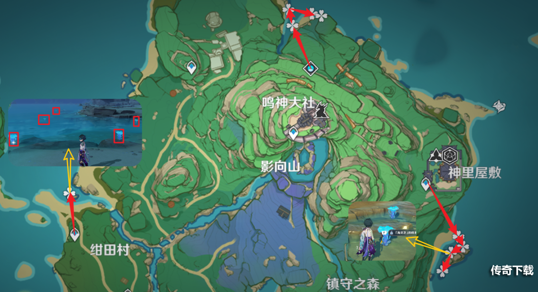 原神八重神子突破材料在哪采集 原神海灵芝采集路线图