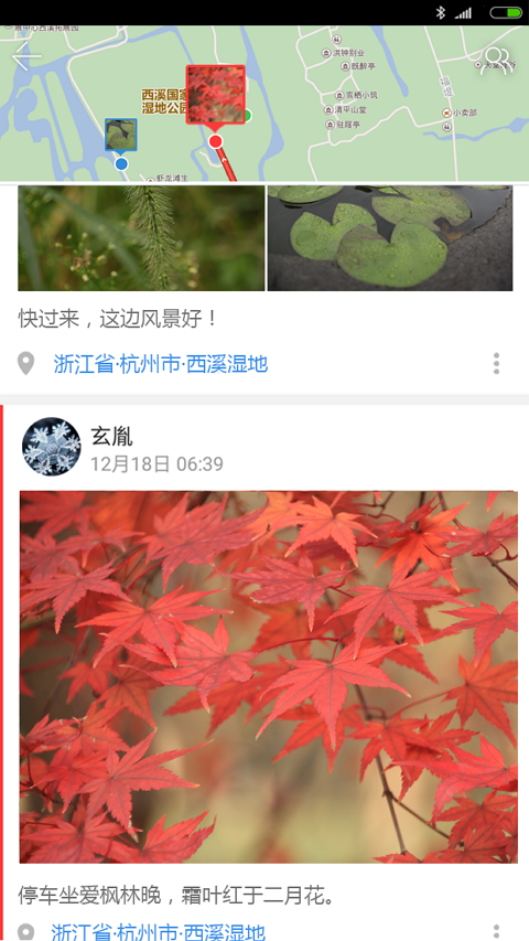 七花轻旅app