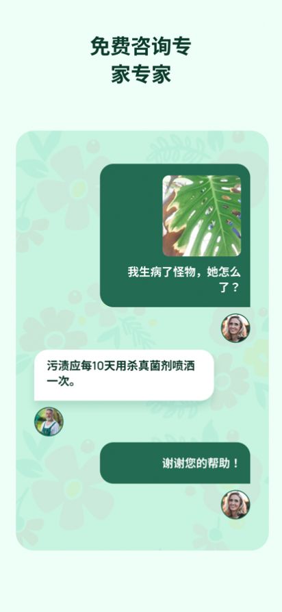 植物花形色拍照识花识别植物