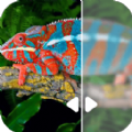 图片修复吧app官方版 v22.2.14