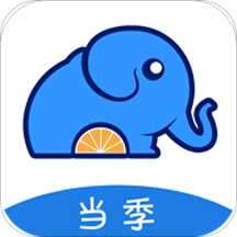 当季水果安卓版