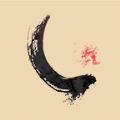 约拿养生按摩软件app官方版 v1.0