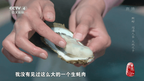 龙腾tv