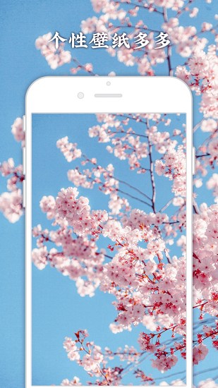 今日壁纸app
