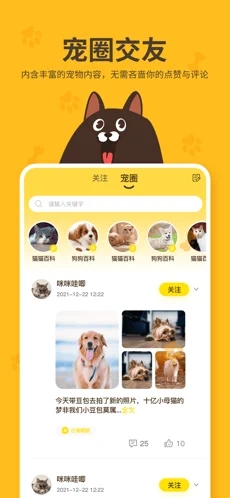 哈奇马