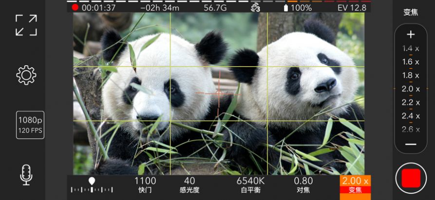 promovie专业摄像机下载app正版下载 v15.1.20