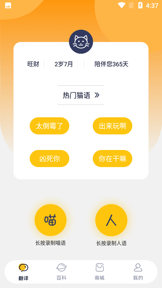 猫语猫咪翻译器app