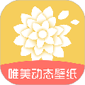 唯美动态壁纸 