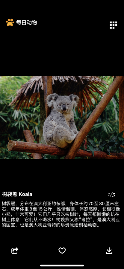 每日动物