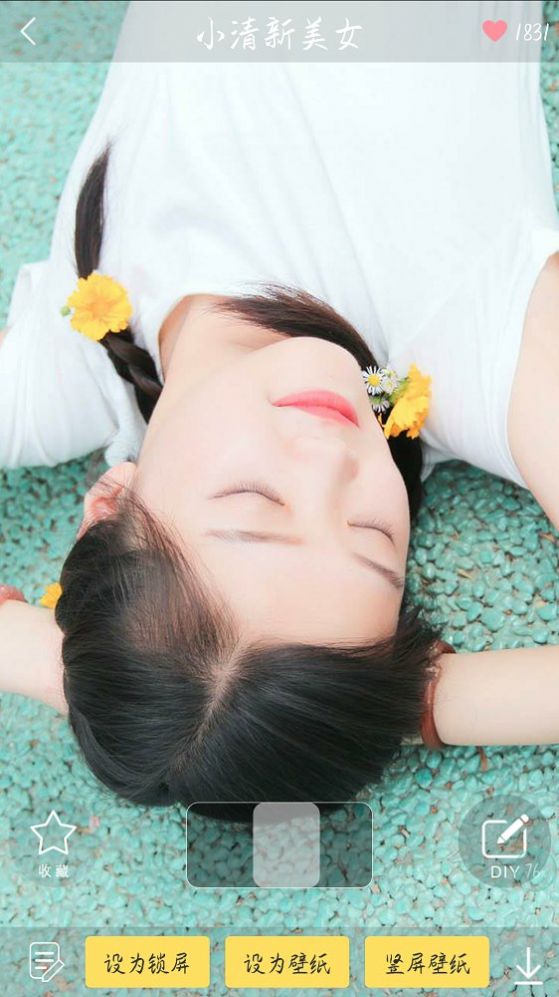壁纸主题精灵app软件下载 v9.2.6