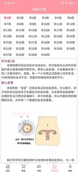 孕婴安孕妇端
