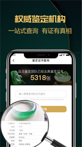 品玉珠宝安卓版