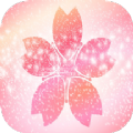 樱花壁纸app官方版 v1.1