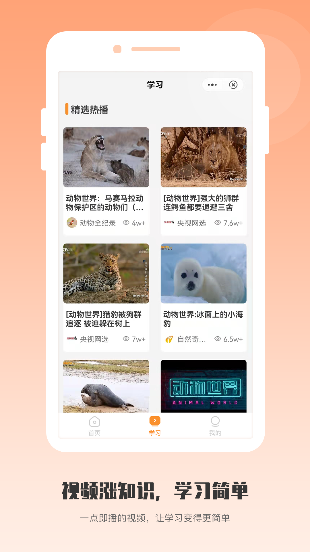 敲爱学