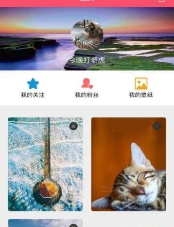 popic壁纸