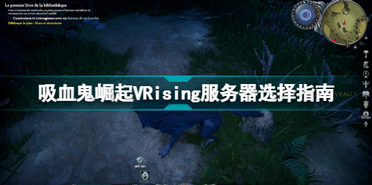 vrising什么服务器比较好 吸血鬼崛起vrising服务器选择指南