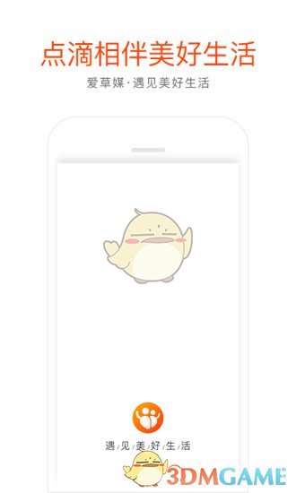 爱草媒