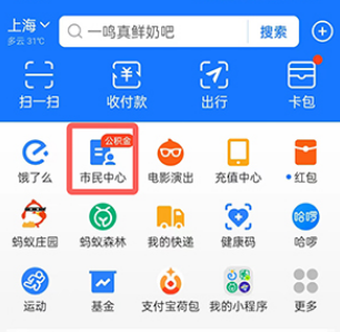 支付宝养老金缴费记录如何查询？