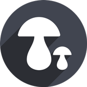 海鸥加速器android版