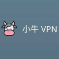 小牛npv加速器 2022本