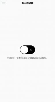 老王加速 官网版