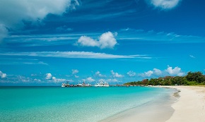 超级兔子网络优化